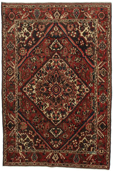 Bakhtiari Persian Rug 310x210