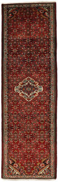 Borchalou - Hamadan Persian Rug 313x97