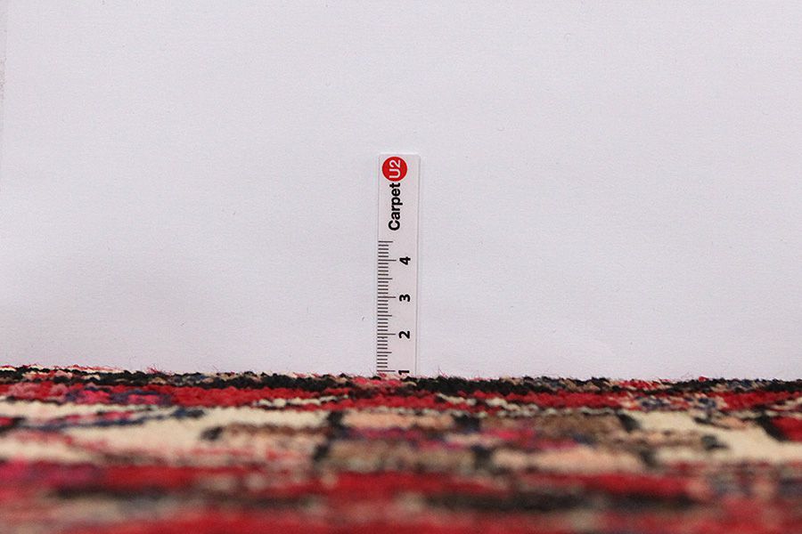 Lori - Bakhtiari Persian Rug 300x160 - Picture 7