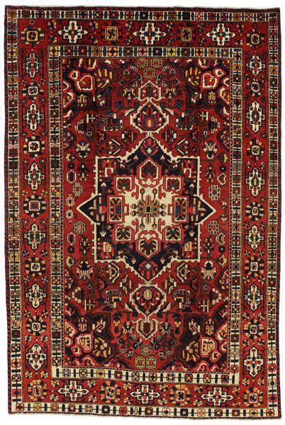 Bakhtiari Persian Rug 313x208