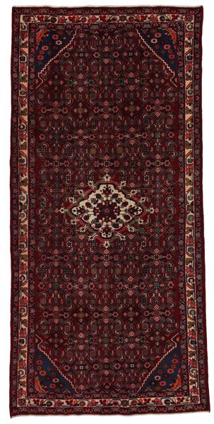 Hosseinabad - Hamadan Persian Rug 310x150