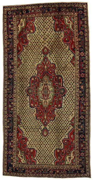 Songhor - Koliai Persian Rug 310x153
