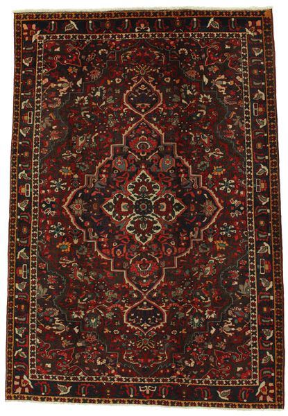 Bakhtiari Persian Rug 300x205