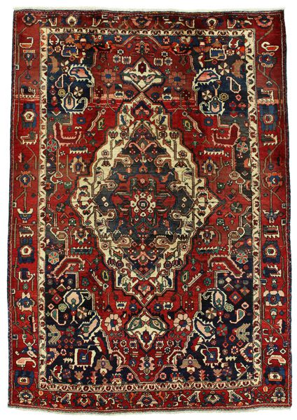 Bakhtiari Persian Rug 292x200