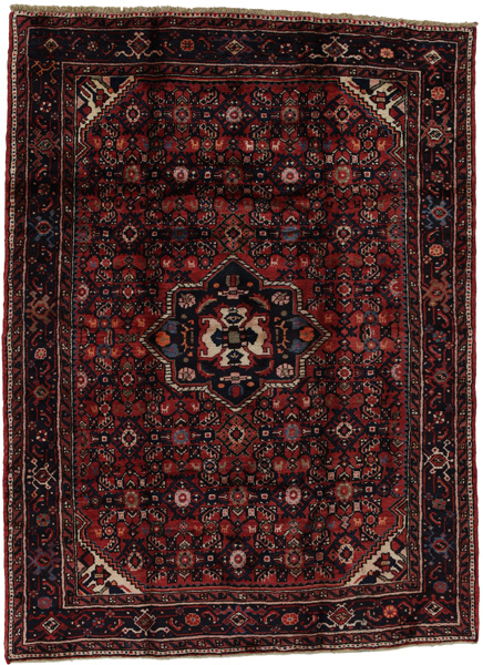 Hosseinabad - Hamadan Persian Rug 206x153