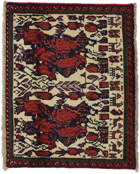 Afshar - Sirjan Persian Rug 60x76