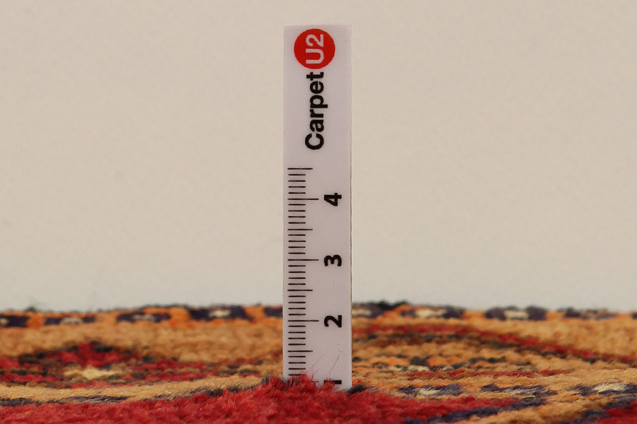 Lori - Gabbeh Persian Rug 292x166 - Picture 8