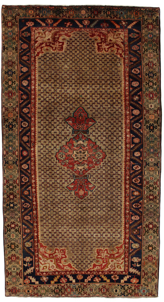 Songhor - Koliai Persian Rug 295x160