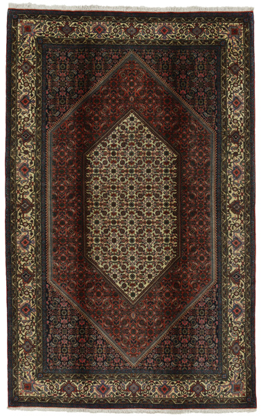 Bijar Persian Rug 248x156