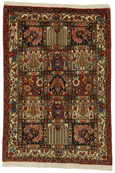 Bakhtiari Persian Rug 154x105