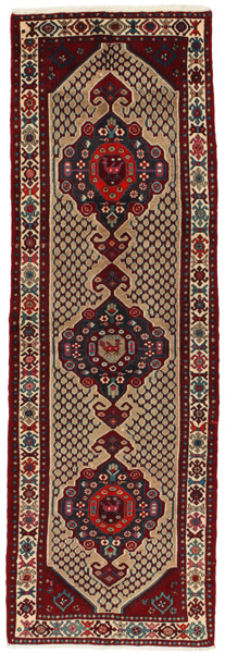 Songhor - Koliai Persian Rug 312x101