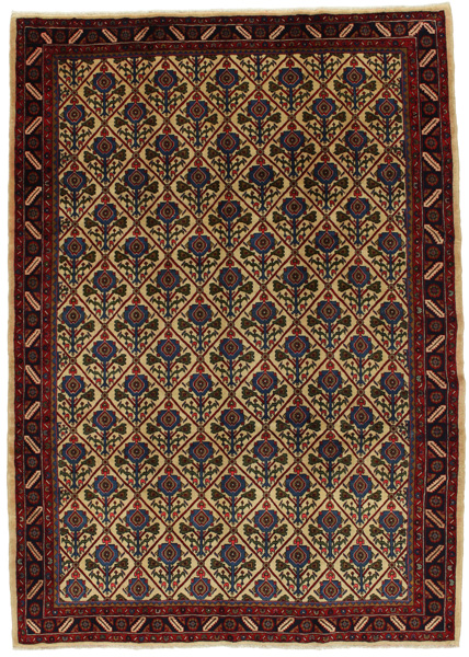 Varamin Persian Rug 301x210