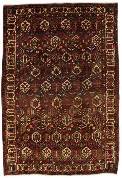 Bakhtiari Persian Rug 312x212