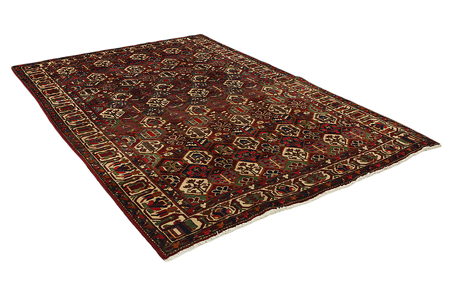 Bakhtiari Persian Rug 312x212 - Picture 1
