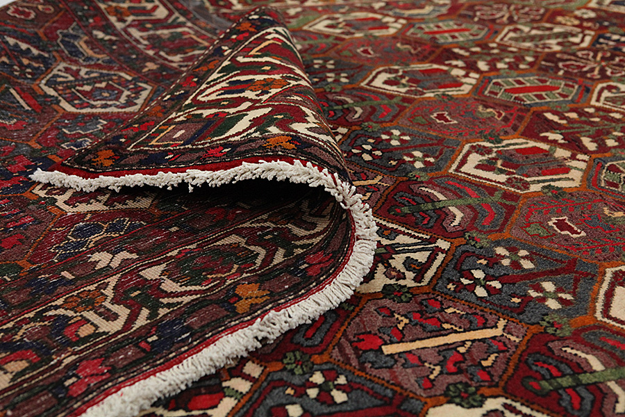 Bakhtiari Persian Rug 312x212 - Picture 4