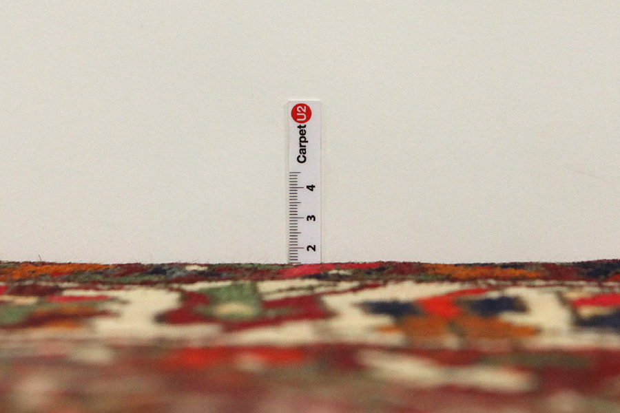 Bakhtiari Persian Rug 312x212 - Picture 7