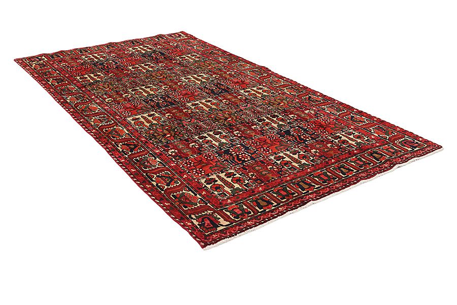 Bakhtiari - Garden Persian Rug 305x167 - Picture 1