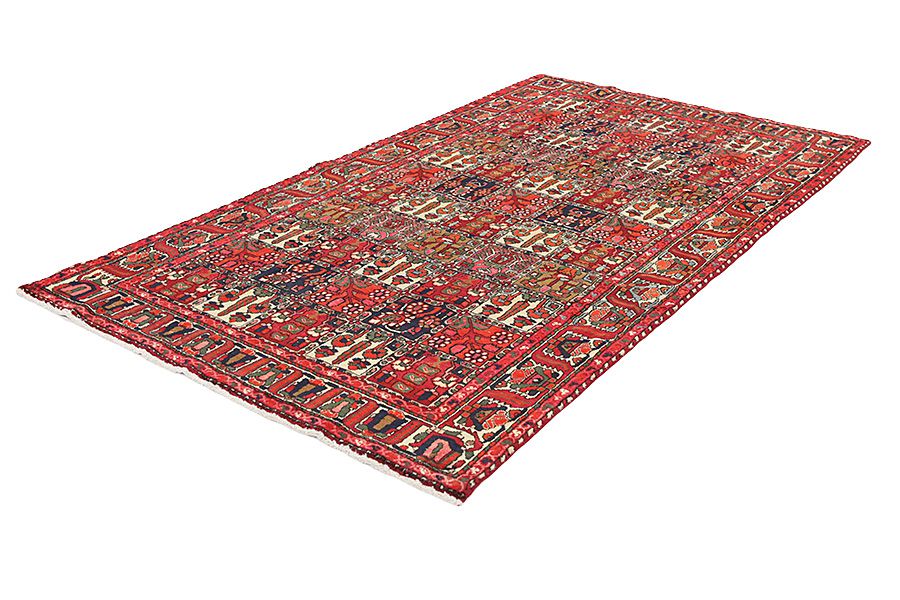 Bakhtiari - Garden Persian Rug 305x167 - Picture 2