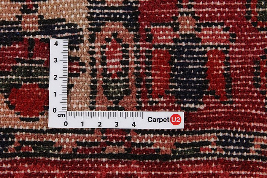 Bakhtiari - Garden Persian Rug 305x167 - Picture 3