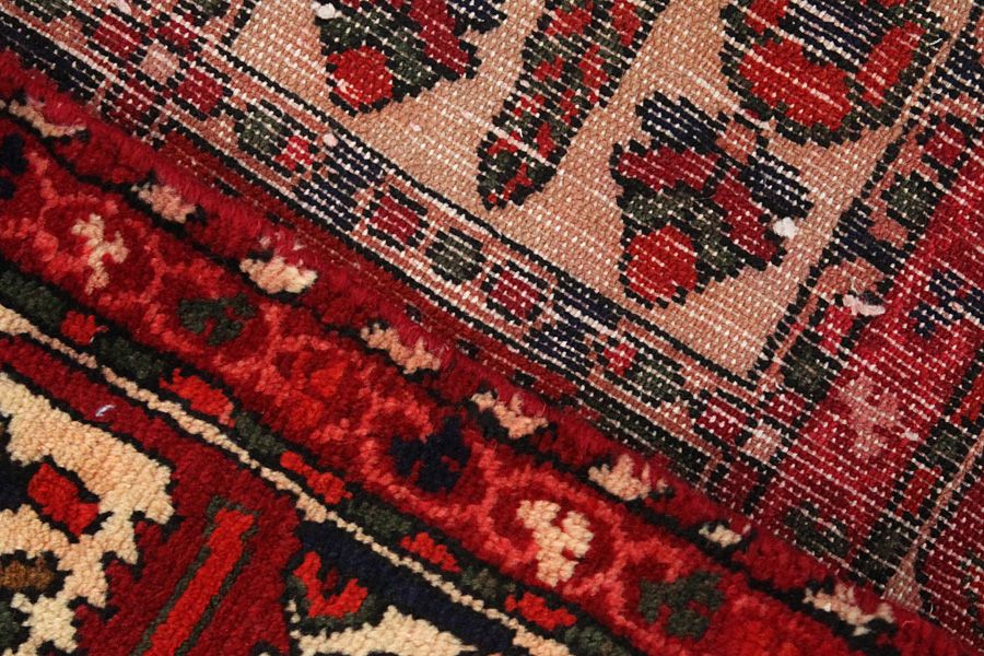 Bakhtiari - Garden Persian Rug 305x167 - Picture 5