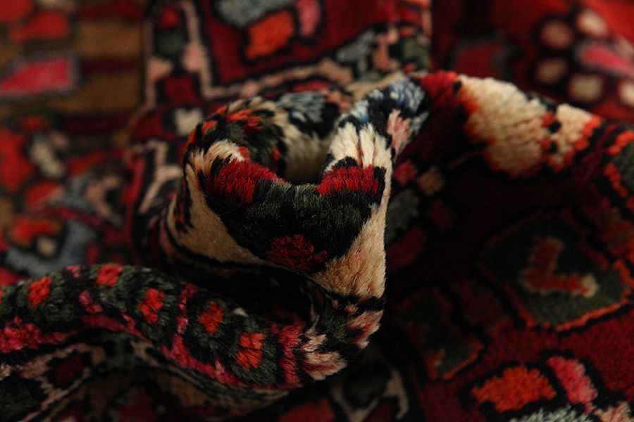 Bakhtiari - Garden Persian Rug 305x167 - Picture 6