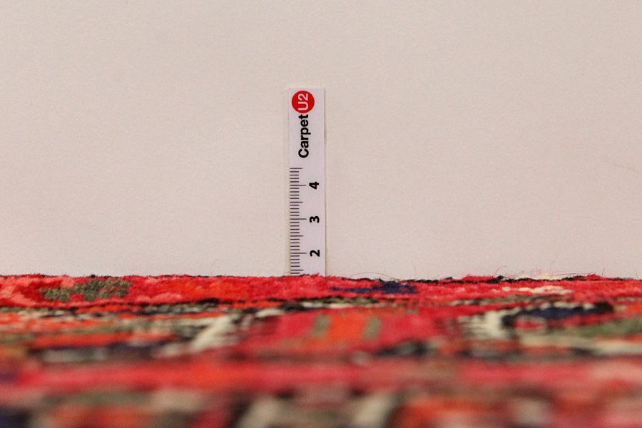 Bakhtiari - Garden Persian Rug 305x167 - Picture 7