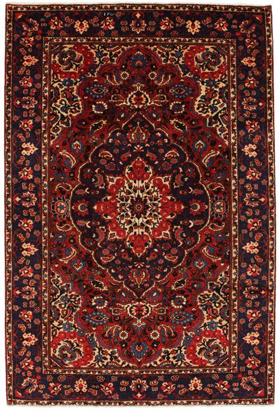 Bakhtiari Persian Rug 316x212
