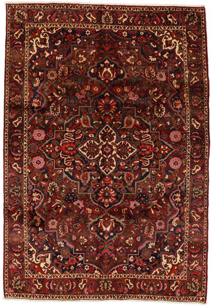 Bakhtiari Persian Rug 309x210