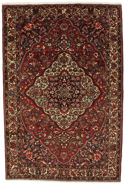 Bakhtiari Persian Rug 319x209