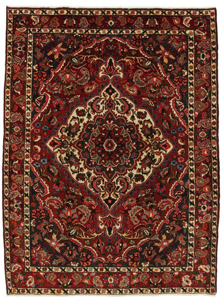 Bakhtiari Persian Rug 293x215