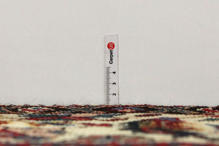 Bakhtiari - Garden Persian Rug 306x213 - Picture 7
