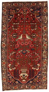 Rug Jozan Sarouk 310x164