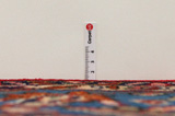 Bakhtiari Persian Rug 306x206 - Picture 8