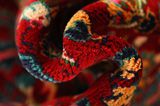 Jozan - Sarouk Persian Rug 265x164 - Picture 7