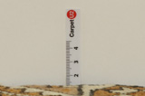 Gabbeh - Bakhtiari Persian Rug 270x124 - Picture 8