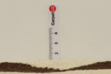 Gabbeh - Qashqai Persian Rug 332x130 - Picture 8