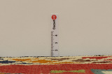 Gabbeh - Qashqai Persian Rug 249x118 - Picture 8