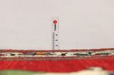 Gabbeh - Qashqai Persian Rug 255x155 - Picture 8