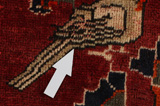 Qashqai - Shiraz Persian Rug 278x152 - Picture 18