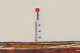 Lori - Bakhtiari Persian Rug 237x149 - Picture 8