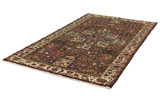 Bakhtiari - old Persian Rug 290x166 - Picture 2