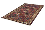 Bakhtiari - Garden Persian Rug 296x162 - Picture 2