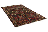 Bakhtiari - Garden Persian Rug 291x164 - Picture 1