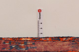 Bakhtiari - Qashqai Persian Rug 445x141 - Picture 8