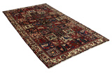 Bakhtiari - Garden Persian Rug 310x168 - Picture 1