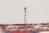 Bakhtiari - Garden Persian Rug 320x220 - Picture 8