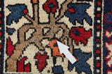 Bakhtiari - Garden Persian Rug 320x220 - Picture 18