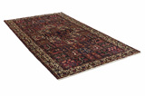 Bakhtiari - Garden Persian Rug 290x160 - Picture 1