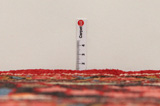 Lilian - Sarouk Persian Rug 334x224 - Picture 8