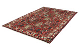 Bakhtiari - Garden Persian Rug 298x198 - Picture 2